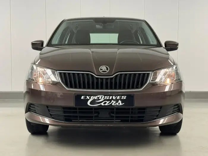 Skoda Fabia, photo 3
