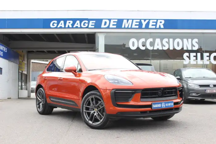 Macan
