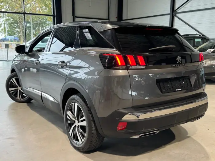 Peugeot 3008, photo 3