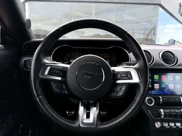 Ford Mustang, photo 14