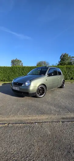 Lupo