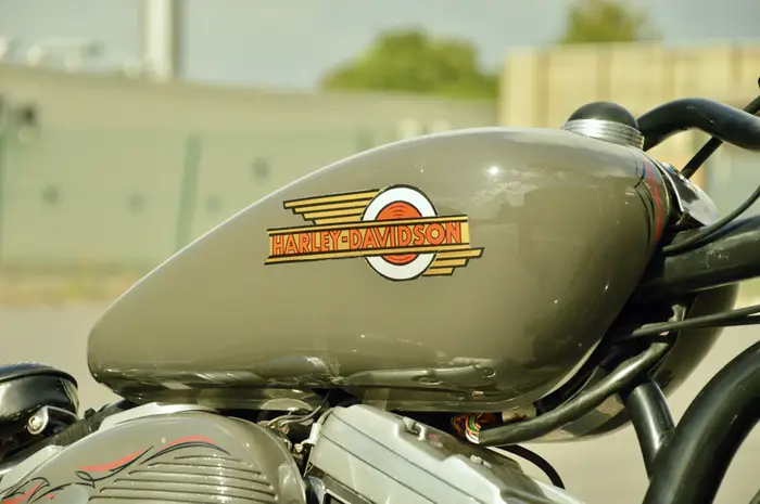 Harley-Davidson Bad Boy, photo 10