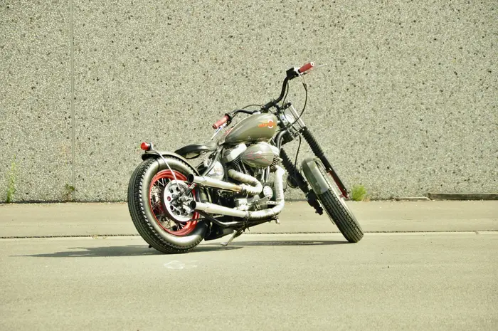 Harley-Davidson Bad Boy, photo 3