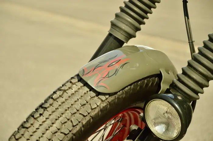 Harley-Davidson Bad Boy, photo 15