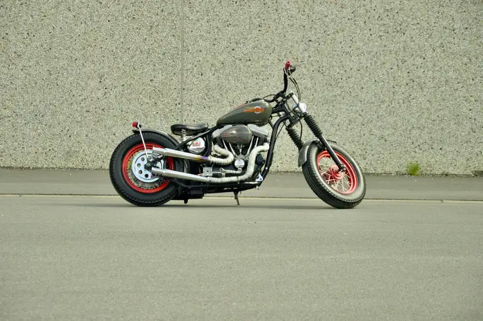 Harley-Davidson Bad Boy, photo 2